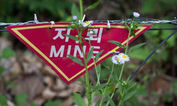 비무장지대 지뢰 푯말