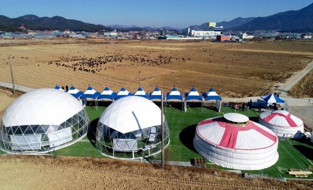 고성군은 22일부터 기월리 독수리생태체험관에서 ‘고성에서 몽골까지 날아라! 고성독수리’ 프로그램을 운영한다. 고성군 제공