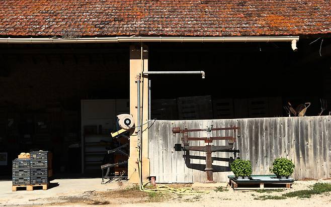 ‘도멘 라 코레’ 농장 풍경. 박미향 기자