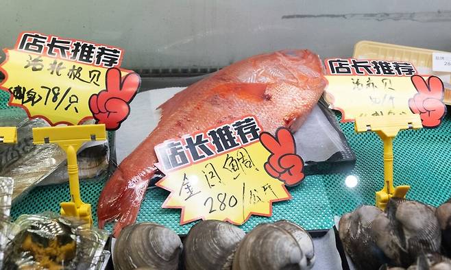 19일 중국 베이징에 있는 한 가게에 일본산 수산물이 진열돼 있다. 이날 중국은 다카이치 사나에 일본 총리의 ‘대만 유사시 집단 자위권 행사 가능’ 발언 이후 일본산 수산물 수입을 중단했다. 베이징/EPA 연합뉴스