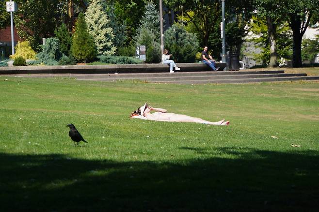 사우스호손 워터프런트 공원 일광욕