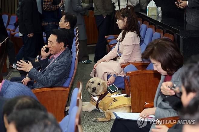 (서울=연합뉴스) 박동주 기자 = 국민의힘 김예지 의원과 새 안내견 태백이가 27일 서울 여의도 국회에서 열린 의원총회에 참석해 있다. 2025.2.27 pdj6635@yna.co.kr 연합뉴스