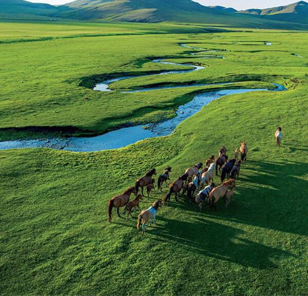일본항공 한국지점이 11월19일부터 'A WORLD OF BEAUTY' 캘린더의 자선 판매를 시작한다 / 일본항공