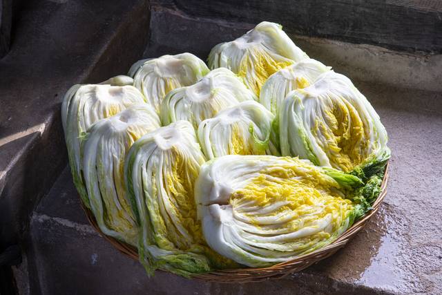 절임 배추를 구매 후 1일 이상 보관했다면 세척 후 사용하는 것을 권장한다. 사진은 기사의 특정 사실과 관련 없음. 클립아트코리아