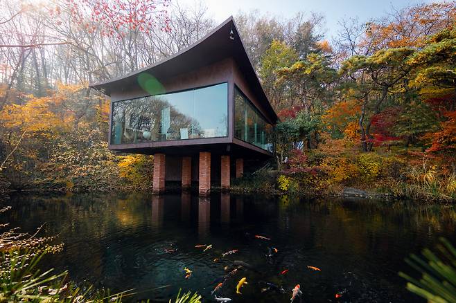 '동물의 숲'으로 가는 길에 만나는 '자운당'. 한국 정자를 현대적으로 해석한 건축물이다. 연못의 비단잉어 무리가 그림 같다. / 이건송 영상미디어 기자