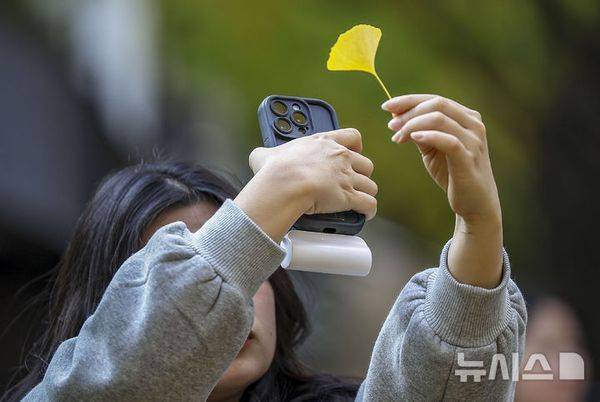 ⓒ뉴시스