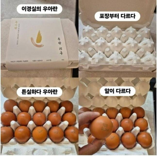 이경실 우아란을 홍보하는 조혜련 씨의 인스타그램