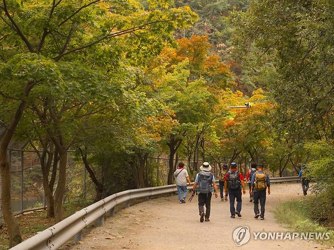 서울대 안양수목원 풍경 [안양시 제공. 재판매 및 DB금지]
