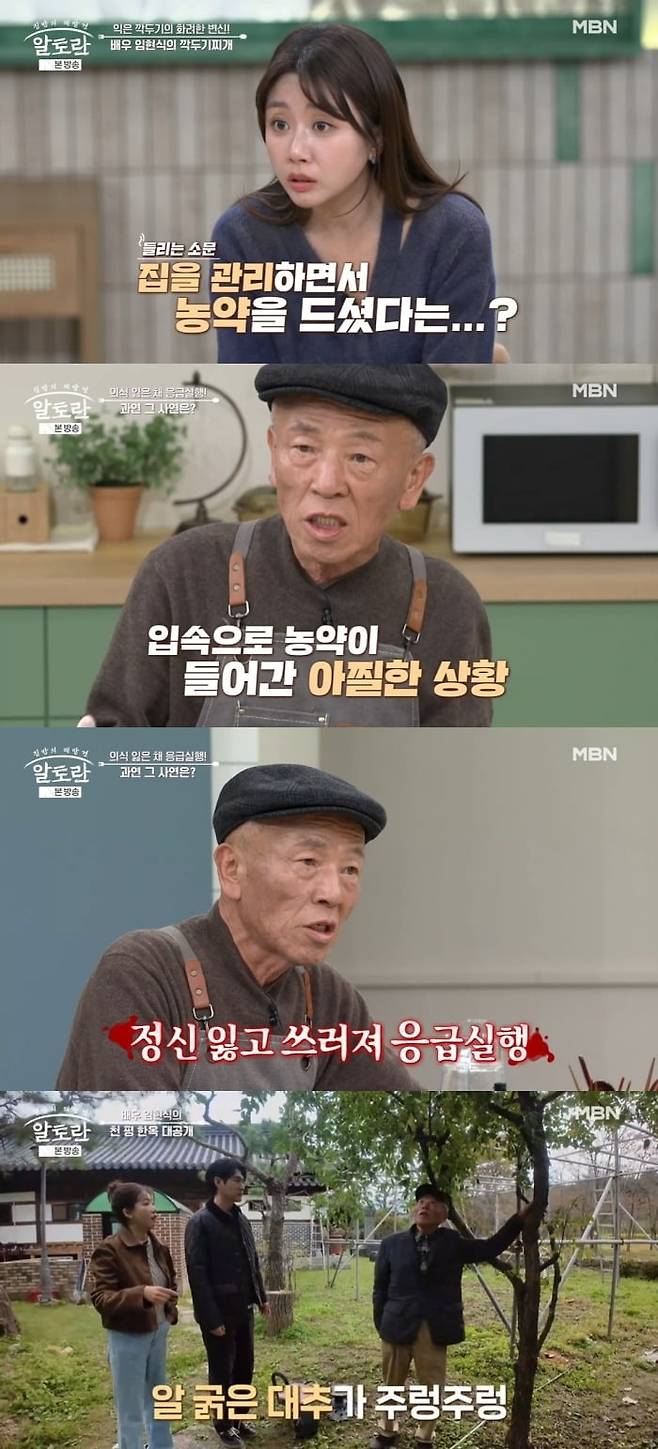 사진 = MBN '알토란'