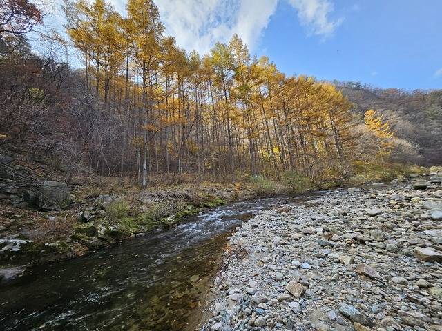 주변 산세가 어우러진 육송정 삼거리 물놀이장 전경. 석포면 제공