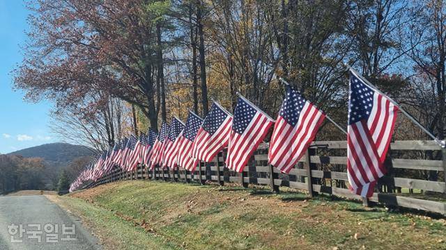 12일 미국 버지니아주 샬러츠빌 ‘트럼프 와이너리’ 진입로 들머리. 입구까지 1㎞ 넘는 거리를 수백 개 성조기가 빼곡히 채우고 있다. 샬러츠빌=권경성 특파원