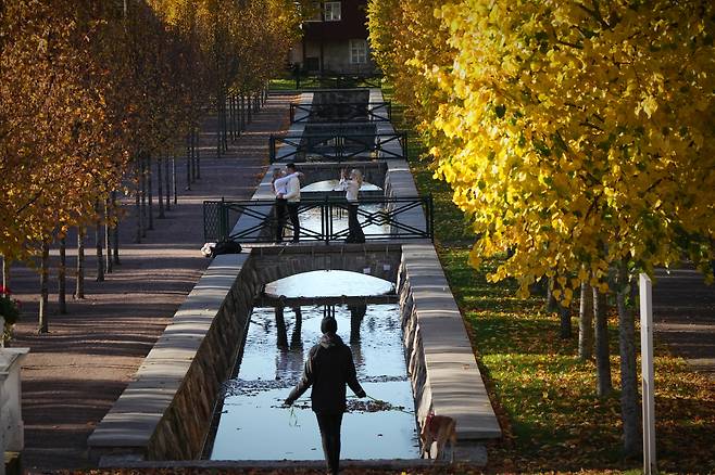 에스토니아 탈린에서 지난달 17일(현지시간) 화창한 가을날 공원에서 사람들이 물든 나무들 사이를 걷고 있다. AP=연합뉴스