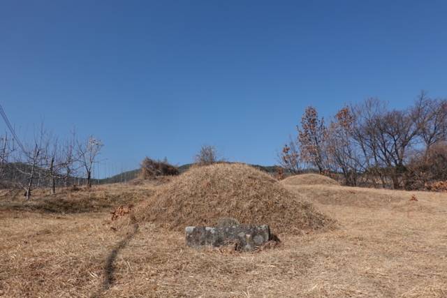 ▲ 이재명 대통령 증조부(1945년 졸) 묘소.