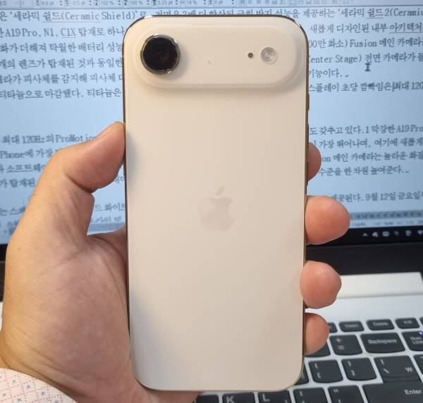 케이스를 씌우지 않은 아이폰 에어 후면 전체 모습. 정옥재 기자