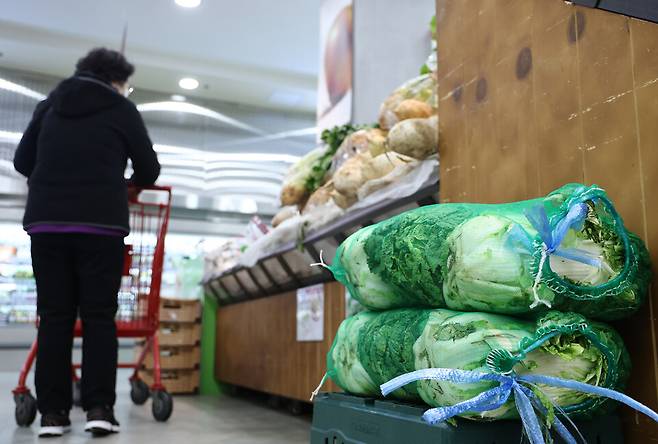 11월10일 서울의 한 대형마트에서 배추를 비롯한 채소가 판매되고 있다. ⓒ연합뉴스