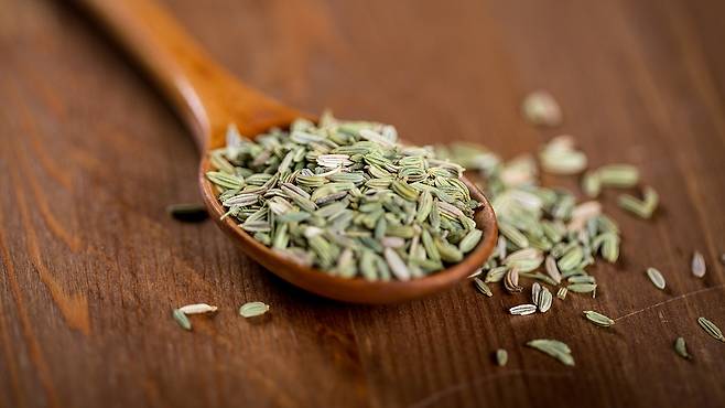 펜넬씨는 체취 개선에 효과적이다｜출처: 게티이미지뱅크