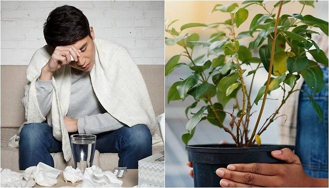 /사진=게티이미지뱅크