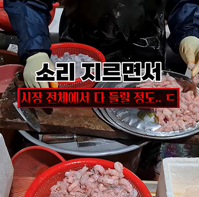 [유튜브 ‘혼자햐’ 캡처]