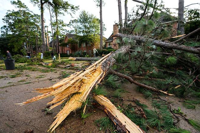 [텍사스주=AP/뉴시스] 24일(현지 시간) 미국 텍사스주 메모리얼 노스웨스트 지역에서 주민들이 토네이도로 인해 쓰러진 나무를 치우고 있다. 2025.11.25.
