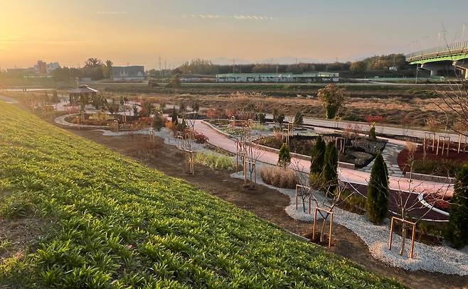 조성을 완료한 불로천 둔치에 생활밀착형 숲(실외정원) 전경. 대구 동구 제공&nbsp;