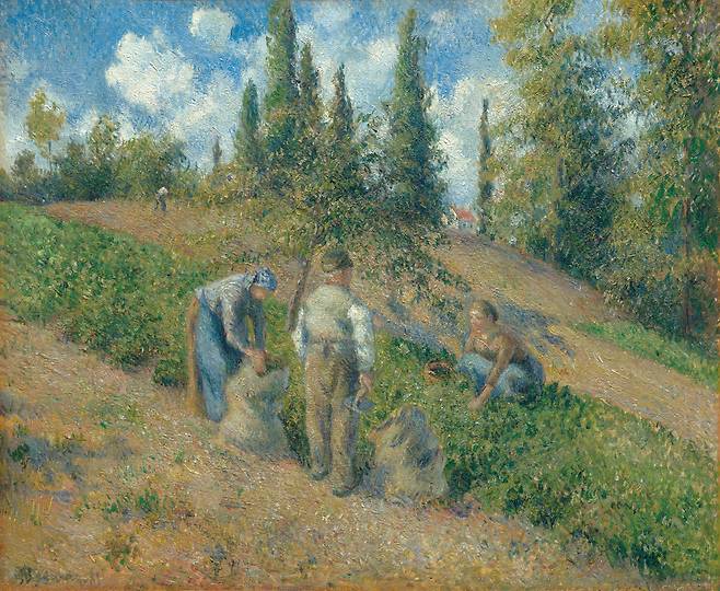 카미유 피사로, 퐁투아즈에서의 수확, Image © The Metropolitan Museum of Art