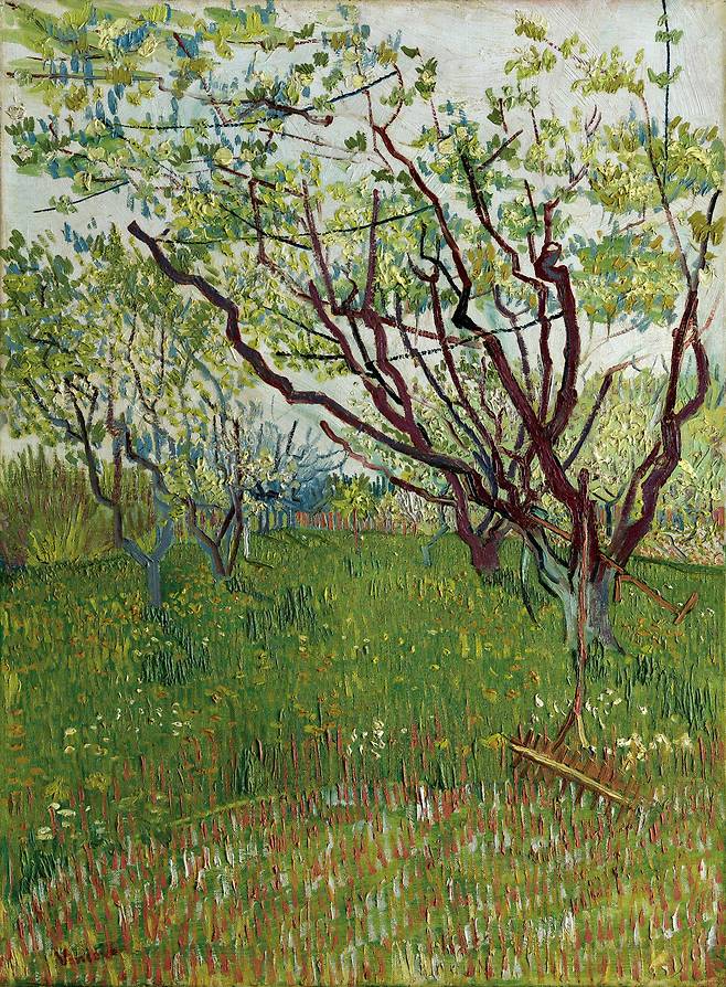빈센트 반 고흐, 꽃 피는 과수원, Image © The Metropolitan Museum of Art