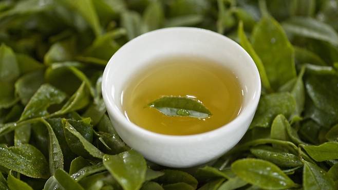 녹차는 다양한 항산화제와 항염증제가 함유되어 있다｜출처: 클립아트코리아