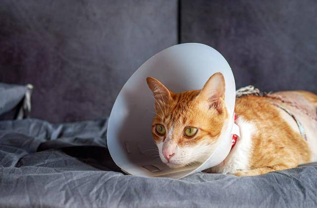 게티이미지뱅크