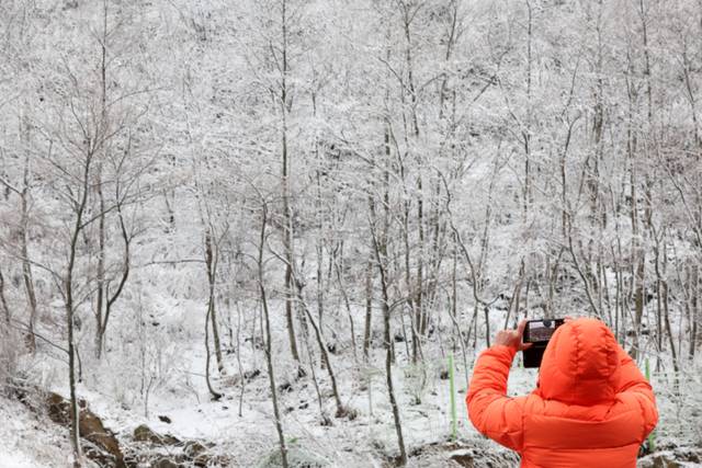 ▲ 밤사이 강원 산지를 중심으로 많은 눈이 내린 26일 양양군 한계령 정상에서 한 시민이 휴대전화로 설경을 담고 있다. 연합뉴스