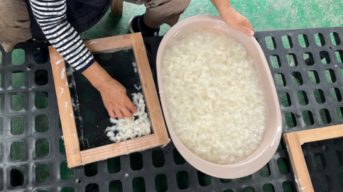 ◇강릉 대추무파인아트 ‘섧[섭]’ 프로젝트의 2년차 결과 전시가 다음달 31일까지 대추무파인아트에서 열린다. 사진은 작가노트 사진.