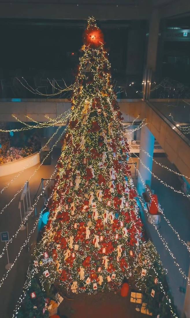 제주 테디베어 뮤지엄 ‘테지움’과 함께 협업한 9m 규모의 대형 트리를 만나볼 수 있는 춘천 올데이스테이. 사진 네이버 지도 올데이스테이 업체 등록 사진