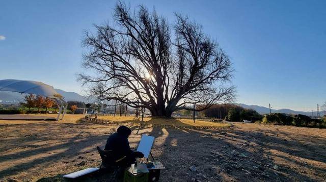최선길 작가가 잎이 다 떨어진 반계리 은행나무를 그리고 있다. 그는 "11월 말부터 이듬해 3월 말까지 겨울에는 나무와 단둘이 있을 때가 많다"고 했다. 최선길 제공