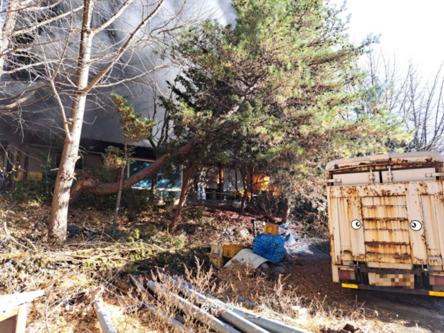 ▲ 28일 오후 2시쯤 정선군 정선읍 봉양리의 한 사과농장에서 불이 나 소방당국이 진화에 나섰다. 강원소방본부 제공