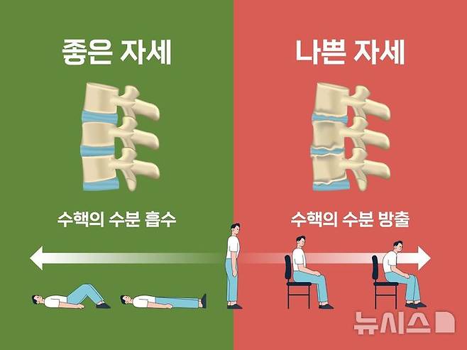 [서울=뉴시스] 신장이 1년 동안 2cm 이상 급격하게 줄어들었다면 척추압박골절을 의심해 봐야 한다. (사진= 힘찬병원 제공)