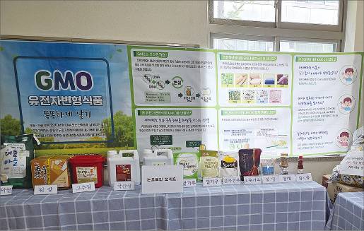 ‘유전자변형식품(GMO) 바로 알기’ 교육자료가 전시된 교실. 장대초등학교