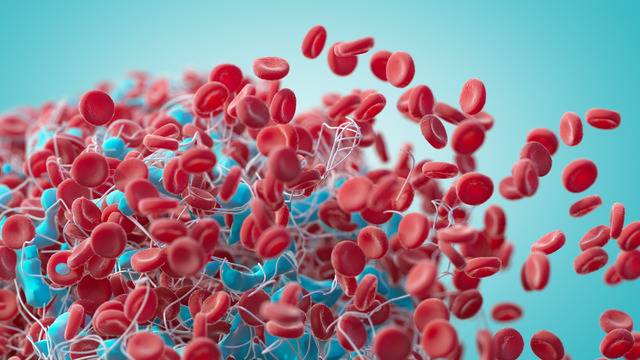 심혈관질환이 여성의 주요 사망 원인임을 인지하는 비율이 20%에 불과한 것으로 나타났다. 사진은 기사의 특정 사실과 관련 없음. 클립아트코리아