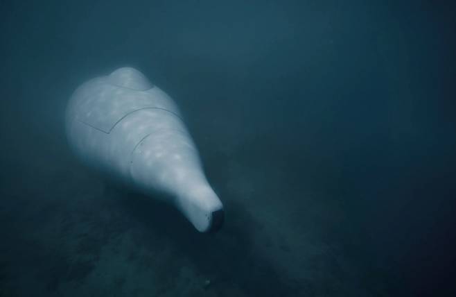 독일 유로아틀라스가 개발한 자율 수중드론 ‘그레이샤크’가 해저에서 임무 수행 중 정지 상태로 대기하고 있다. 이 드론은 인공지능(AI) 기반 자율운항 시스템을 통해 일정 신호나 시간에 맞춰 자동으로 작동할 수 있다. 유로아틀라스 제공