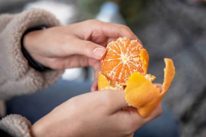 대표적인 겨울 과일로 꼽히는 귤에는 비타민C가 풍부해 감기와 독감으로부터 몸을 지키는 데 도움이 된다. 사진=클립아트코리아