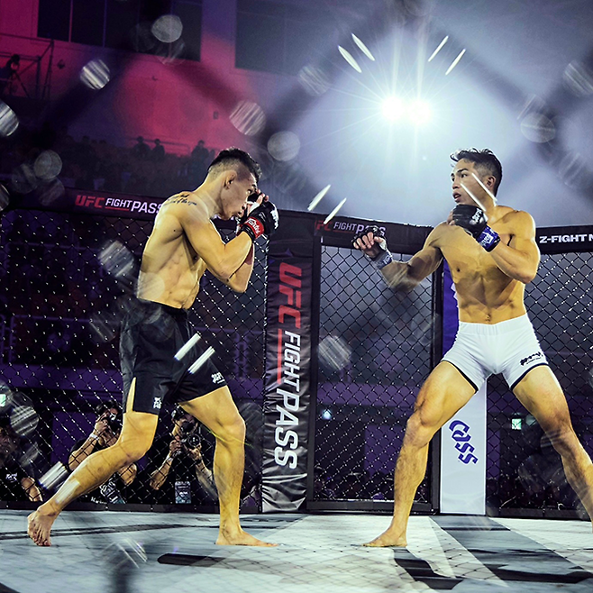 코리안좀비MMA 변재웅이 2025년 11월 서울특별시 고려대학교 화정체육관 ZFN 3 메인카드 제2경기에서 제4대 UFC 페더급 챔피언 맥스 홀러웨이의 후배 제러미 산티아고를 상대하고 있다. 글로벌 OTT 서비스 UFC Fight Pass로 200여 국가에 생중계됐다. 사진=MCP ECC