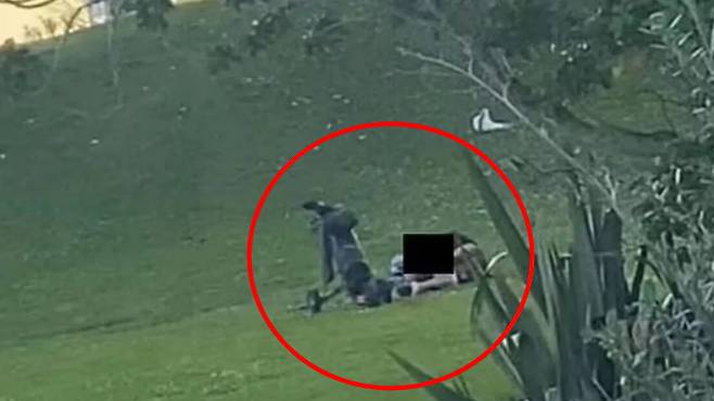 뉴질랜드 한 골프장 페어웨이에서 남녀가 성관계 나누는 모습이 온라인에 유포돼 논란을 일으켰다. /사진=미러 캡처