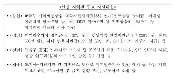 지역별 주요 지원내용. 사진 보건복지부