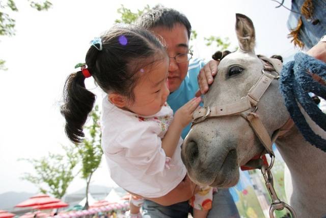 한국마사회는 렛츠런파크 부산경남을 경마장만이 아닌, 시민들이 즐겨찾을 수 있는 공원으로 조성해 많은 사람들이 유원시설과 산책을 즐길 수 있도록 하고 있다. 사진은 렛츠런파크 부산경남이 주최한 축제에서 어린이가 말을 쓰다듬는 모습. 한국마사회 제공