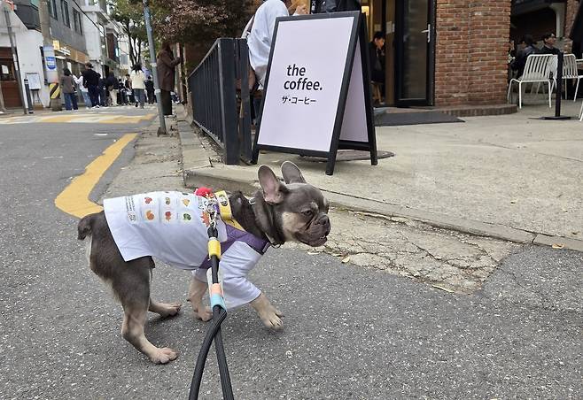 씩씩하고 발랄한 루이 ⓒ 뉴스1 한송아 기자