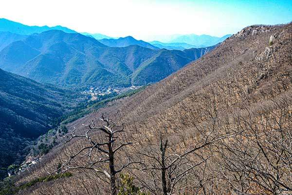 사진 최원식 대구산악연맹 이사