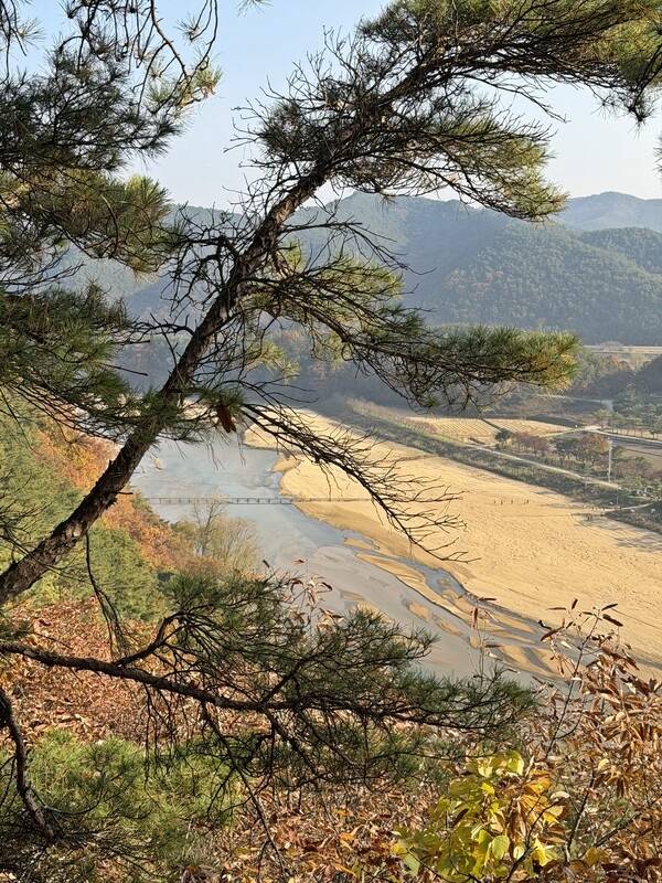 비룡산 트레킹은 회룡포를 끼고 돌아 오는 코스이다.