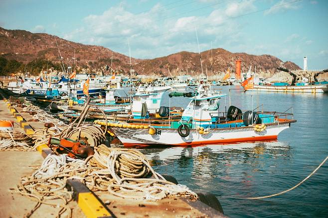 항구에 고요히 늘어서 있는 배들