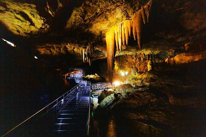 대금굴에선 각종 신비로운 종유석을 만날 수 있다