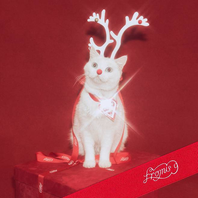 사진제공 = 어센드