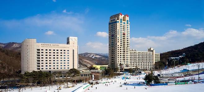강원 평창 휘닉스파크. /휘닉스중앙 홈페이지