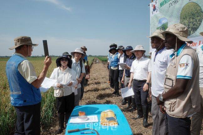 조일호 코피아 우간다 센터 소장(왼쪽)이 벼 보급종 생산 사업지 현장에서 성과 설명을 하고 있다. 이 자리에는 곽도연 국립식량과학원장, 설영주 농촌진흥청 기술협력국 국외농업기술과 연구관, 상완규 국립식량과학원 기획조정과 연구사, 위치도 국외농업기술과 연구사, 정나연 국제협력요원, 홍연주 통번역사가 참석했다. ⓒ데일리안 배군득 기자